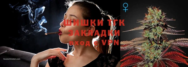 шишки Армянск