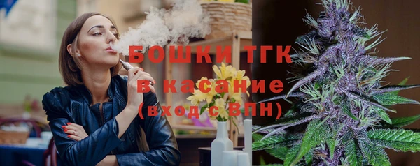 шишки Армянск